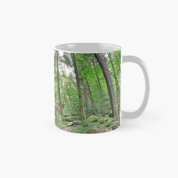 Item preview, Ash Cave Panorama At Hocking Hills Ohio designed and sold by LisaWootenPhoto.