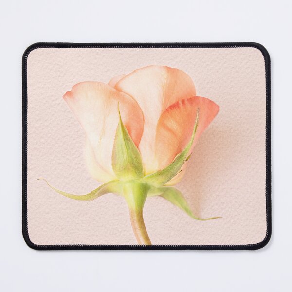 Item preview, Apricot Rosa 2 designed and sold by Tanya C  Smith.