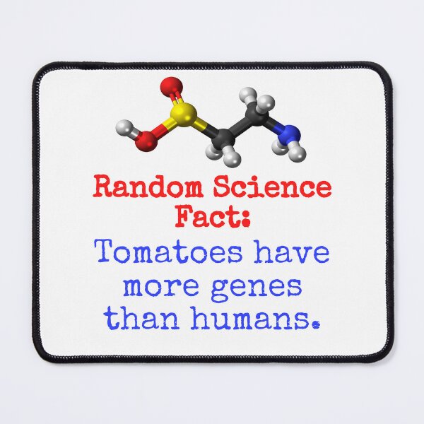 Item preview, Tomatoes Have More Genes - Science Fact designed and sold by CrankyOldDude.
