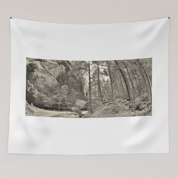 Item preview, Ash Cave Panorama At Hocking Hills Ohio Black And White designed and sold by LisaWootenPhoto.