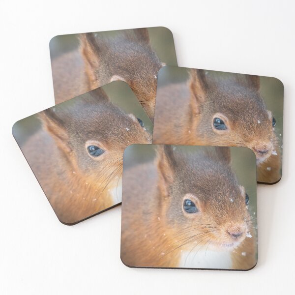 Item preview, Red Squirrel Whinfel Forest Close up designed and sold by Darren Wilkes.