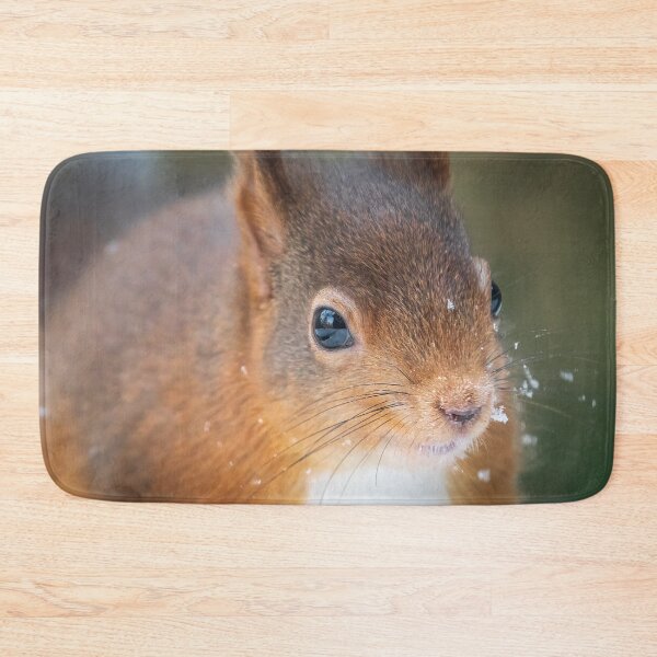 Item preview, Red Squirrel Whinfel Forest Close up designed and sold by Darren Wilkes.