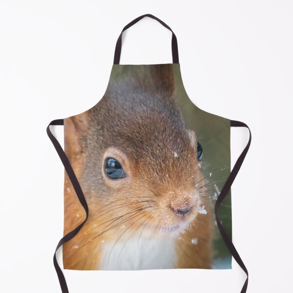 Item preview, Red Squirrel Whinfel Forest Close up designed and sold by Darren Wilkes.