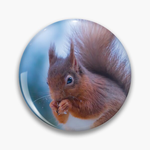 Item preview, Red Squirrel In The snow Whinfell Forest designed and sold by Darren Wilkes.