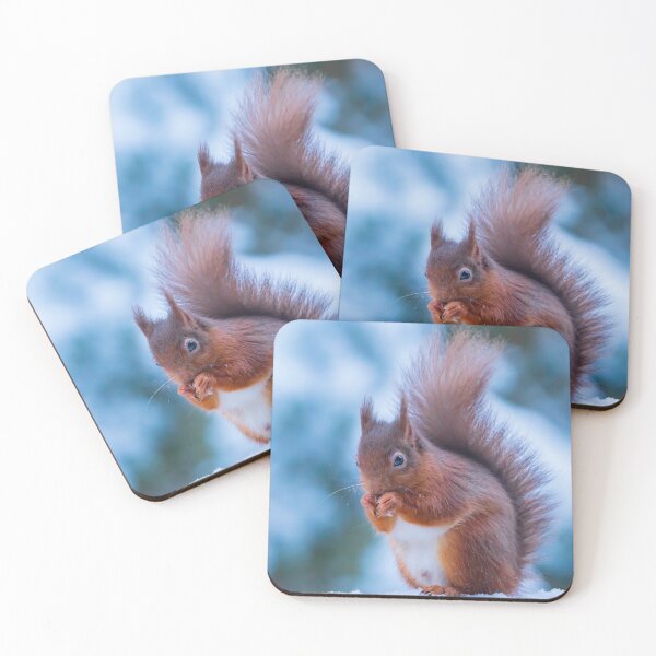 Item preview, Red Squirrel In The snow Whinfell Forest designed and sold by Darren Wilkes.