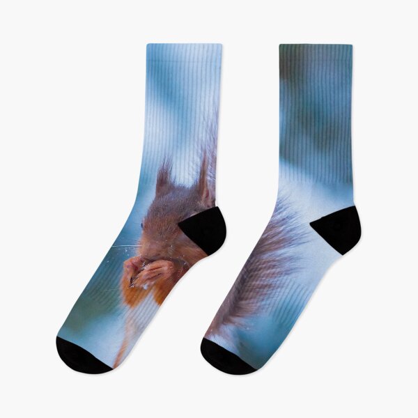 Item preview, Red Squirrel In The snow Whinfell Forest designed and sold by Darren Wilkes.