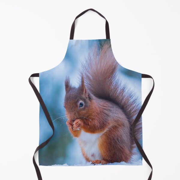 Item preview, Red Squirrel In The snow Whinfell Forest designed and sold by Darren Wilkes.