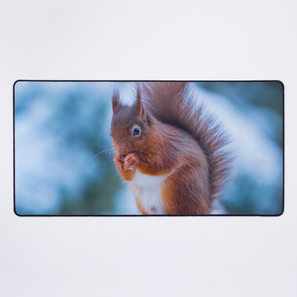 Item preview, Red Squirrel In The snow Whinfell Forest designed and sold by Darren Wilkes.