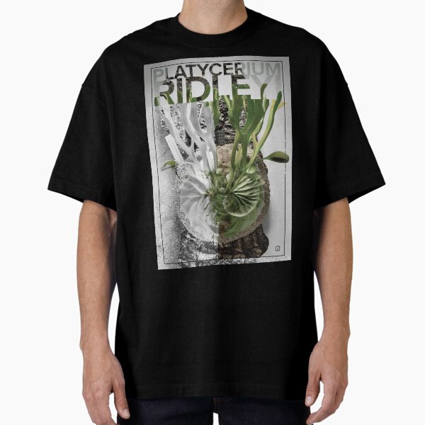 Ridleyi_Narrow_White-Green Oversized T-Shirt