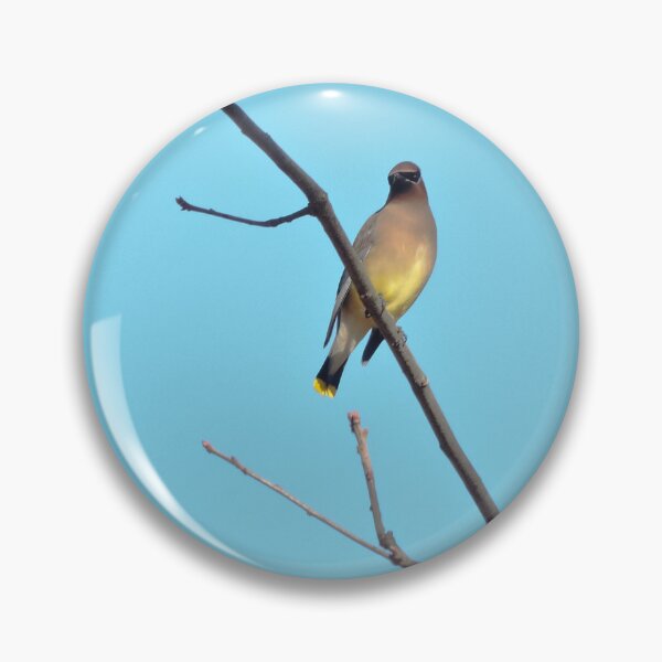 Item preview, A Handsome Cedar Waxwing designed and sold by CustomPhotoArt.