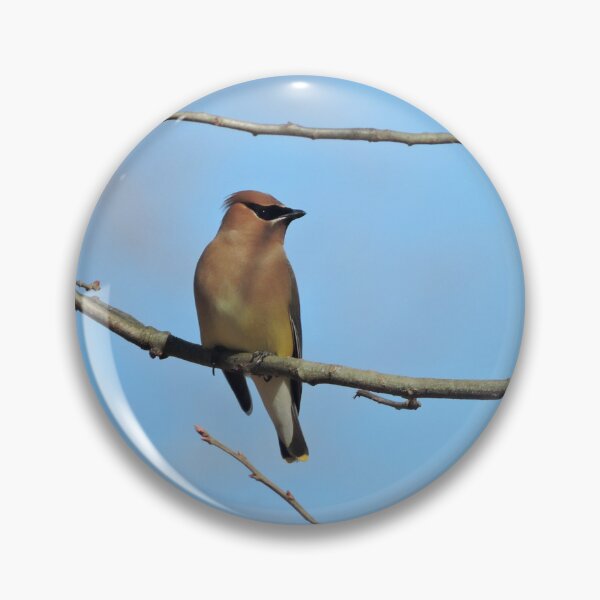 Item preview, Cedar Waxwing on Branch designed and sold by CustomPhotoArt.