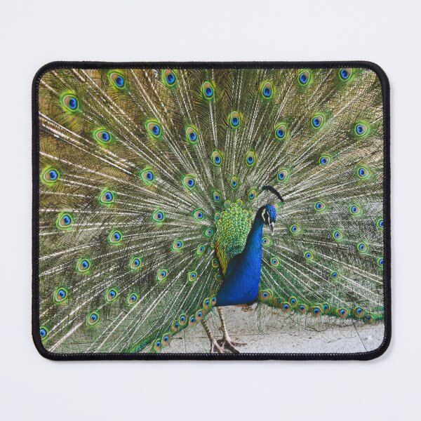 Item preview, Peacock designed and sold by Kate-P-.