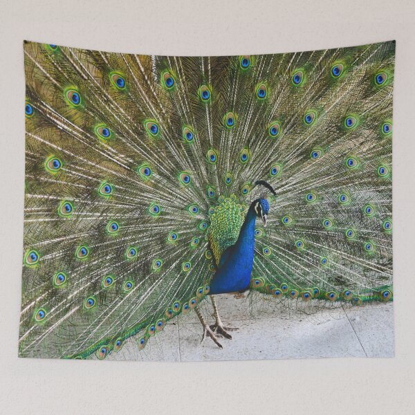 Item preview, Peacock designed and sold by Kate-P-.