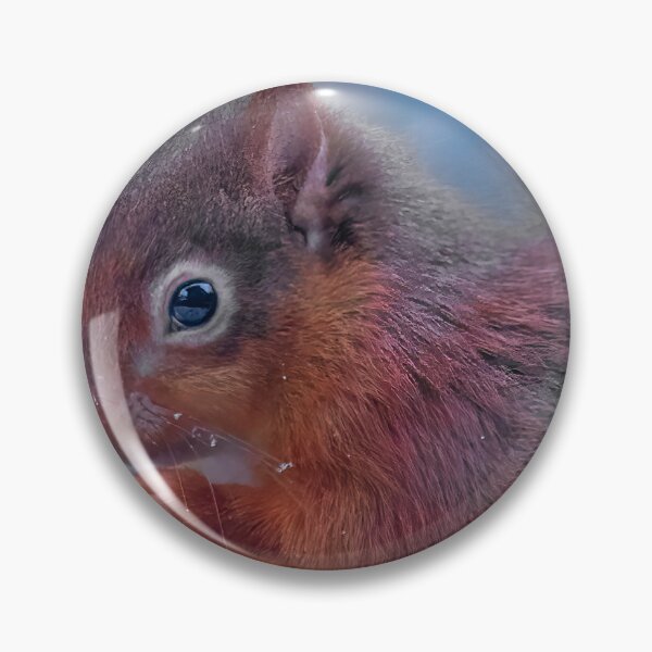 Item preview, Red Squirrel - Sciurus vulgaris designed and sold by Darren Wilkes.