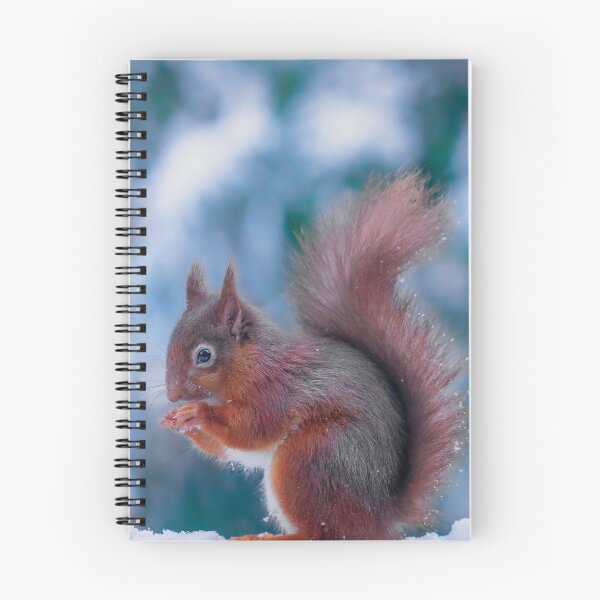 Item preview, Red Squirrel - Sciurus vulgaris designed and sold by Darren Wilkes.