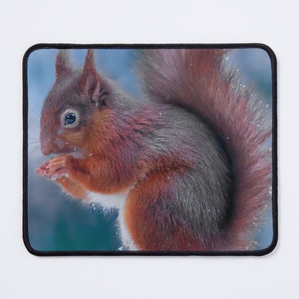Item preview, Red Squirrel - Sciurus vulgaris designed and sold by Darren Wilkes.