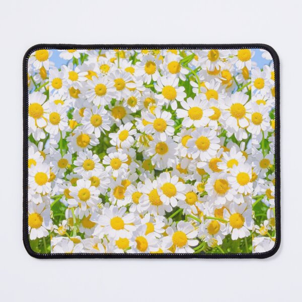 Item preview, White flowers designed and sold by KZClassic.