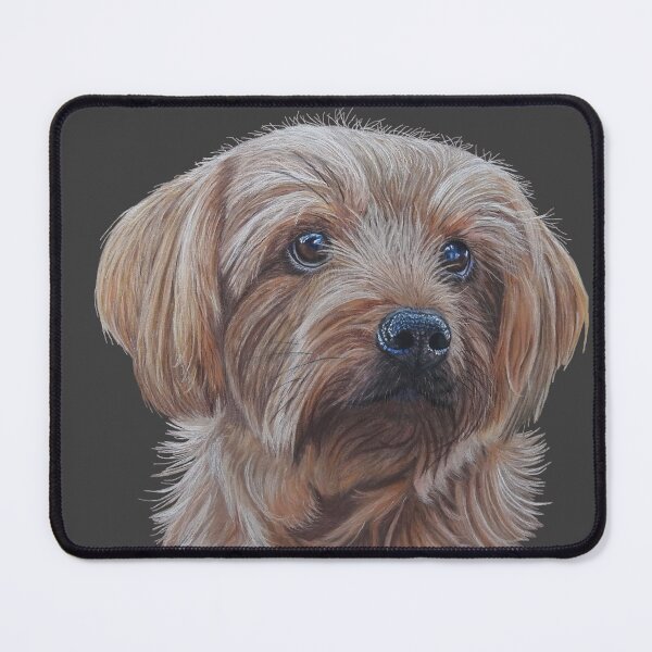 Item preview, Molly the Norfolk Terrier designed and sold by cathyscreations.