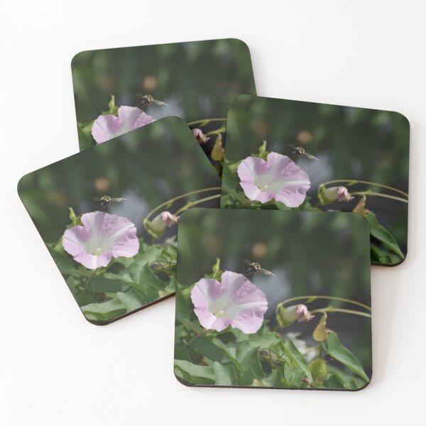 Item preview, Flowers and Bees designed and sold by LexIllustration.