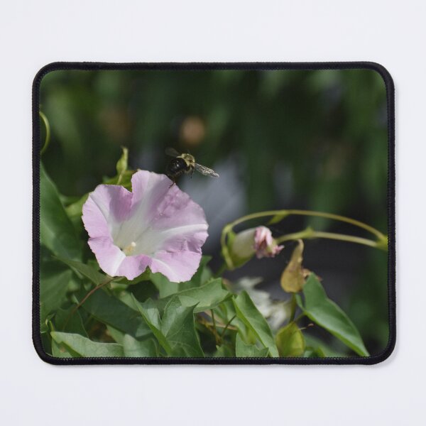 Item preview, Flowers and Bees designed and sold by LexIllustration.