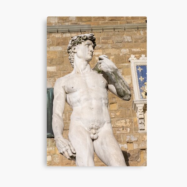 Item preview, David by Michelangelo Buonarroti in Florence, Italy. Famous masterpiece male perfection. designed and sold by Paolo Modena Photography    -   Fine Italian Art.