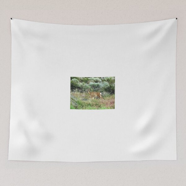 Item preview, Young Buck Mule Deer - California designed and sold by jtrommer.