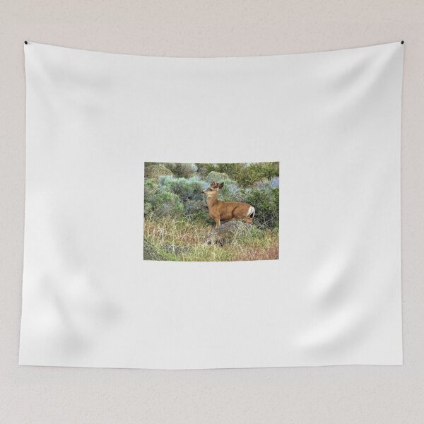 Item preview, Mule Deer 3 - California designed and sold by jtrommer.