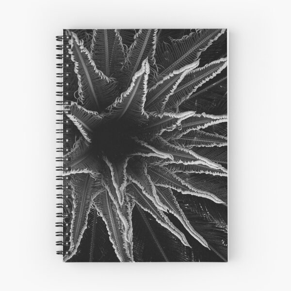 Item preview, Dark Stars designed and sold by Gustave Kurz Sr..