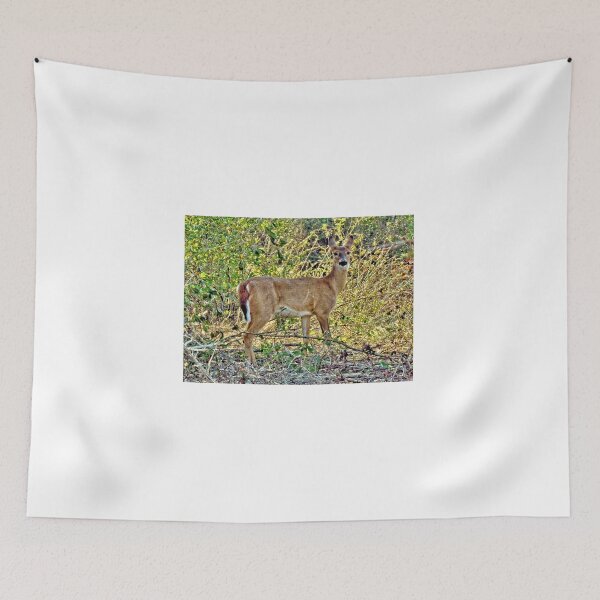 Item preview, White Tail Deer - Washington State designed and sold by jtrommer.
