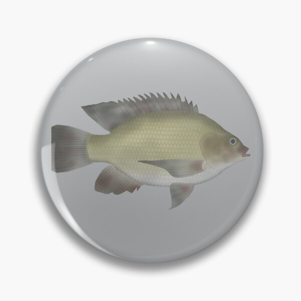 Item preview, Mango Tilapia designed and sold by fishfolkart.