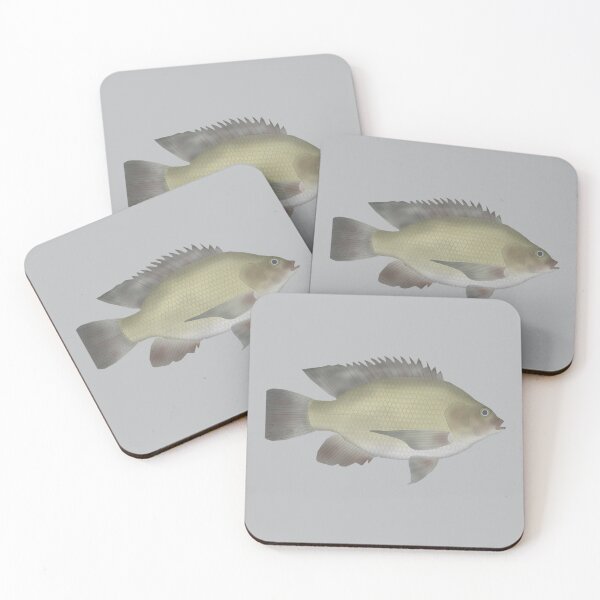 Item preview, Mango Tilapia designed and sold by fishfolkart.