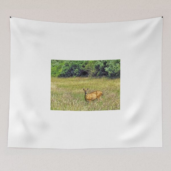 Item preview, Northwestern Black Tailed Deer - Washington State designed and sold by jtrommer.