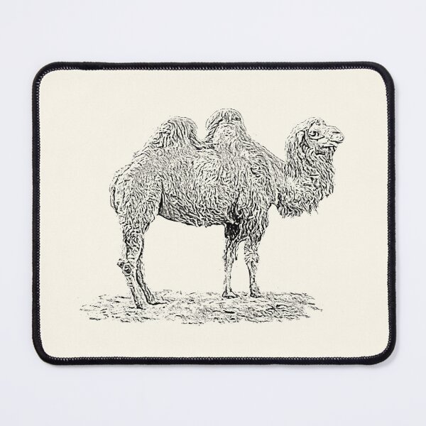 Item preview, Bactrian camel designed and sold by Guardi71.