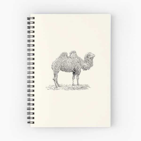 Item preview, Bactrian camel designed and sold by Guardi71.