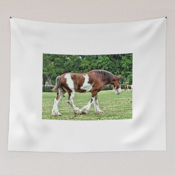 Item preview, Clydesdale Horse - South Carolina designed and sold by jtrommer.