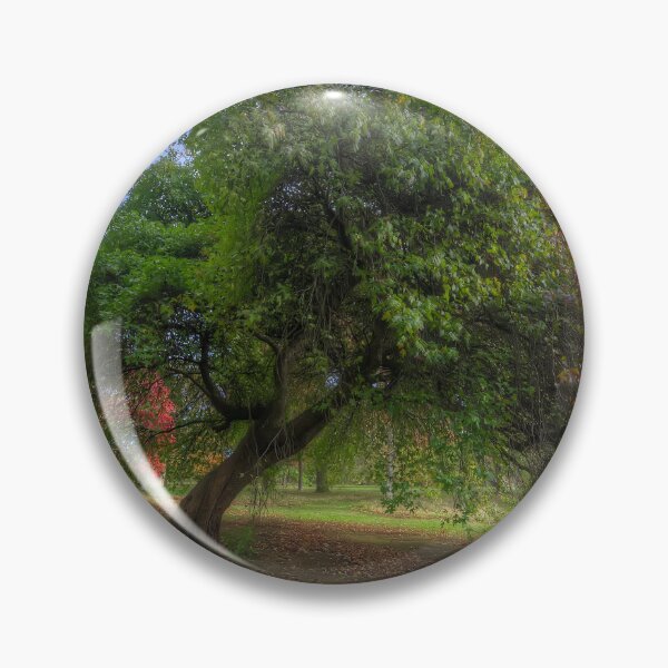 Item preview, Japanese Acer Tree - Wales  designed and sold by Darren Wilkes.