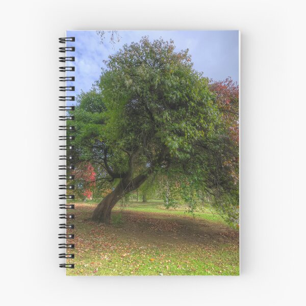 Item preview, Japanese Acer Tree - Wales  designed and sold by Darren Wilkes.