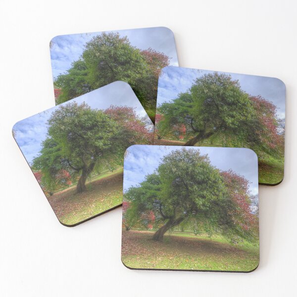 Item preview, Japanese Acer Tree - Wales  designed and sold by Darren Wilkes.