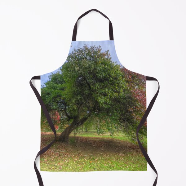 Item preview, Japanese Acer Tree - Wales designed and sold by Darren Wilkes.