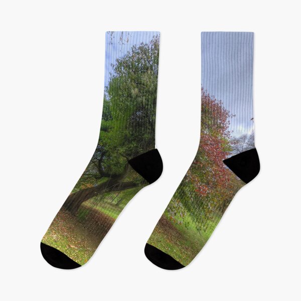 Item preview, Japanese Acer Tree - Wales  designed and sold by Darren Wilkes.