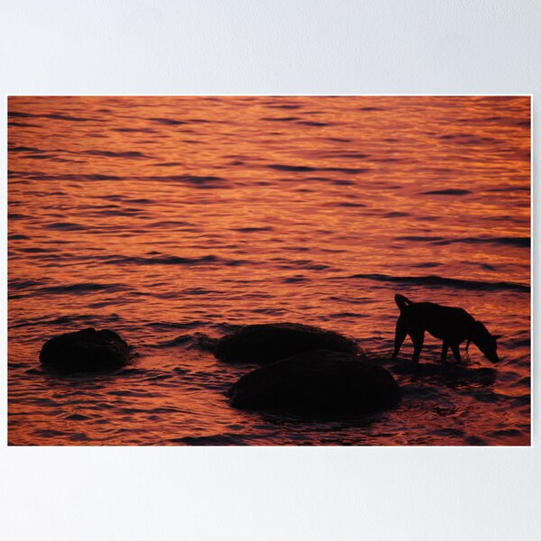 Artikelvorschau, the fishing dog entworfen und verkauft von paul levy.