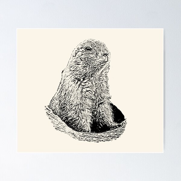 Item preview, Prairie dog designed and sold by Guardi71.