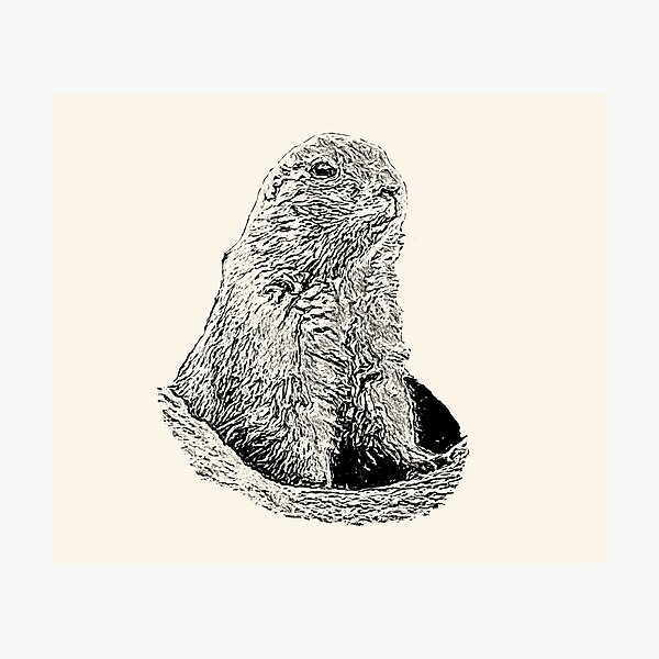 Item preview, Prairie dog designed and sold by Guardi71.