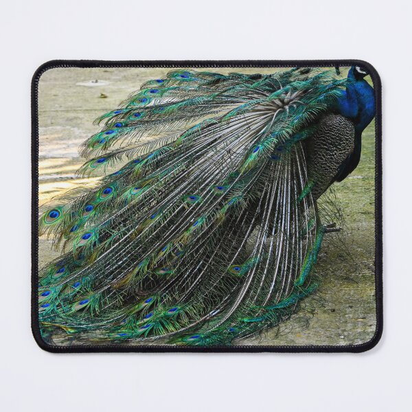 Item preview, Peafowl designed and sold by Kate-P-.