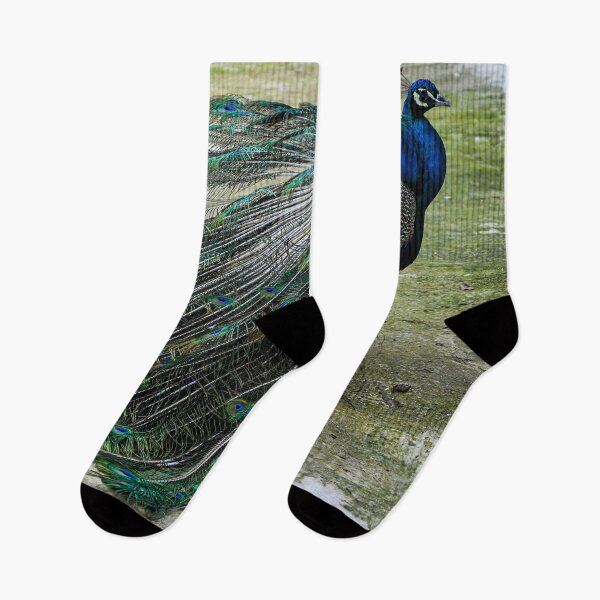 Item preview, Peafowl designed and sold by Kate-P-.