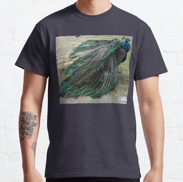 Peafowl Classic T-Shirt