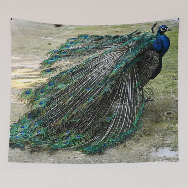 Item preview, Peafowl designed and sold by Kate-P-.