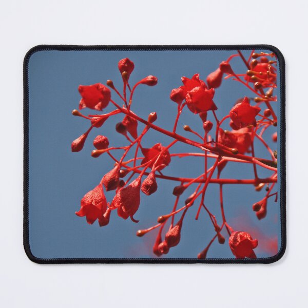 Item preview, A Strong Impression designed and sold by Nira Dabush.