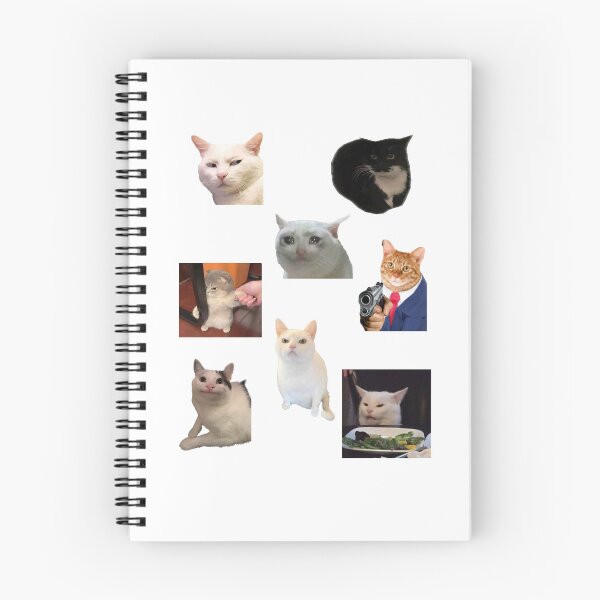 Item preview, Cat Meme Stickers Variety Pack designed and sold by mitscorner.