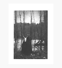 SWAMP WITCH Photographic Print